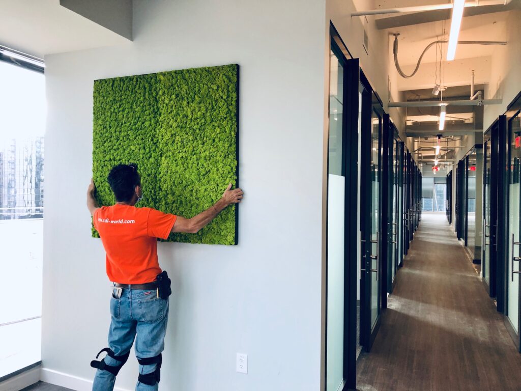 Build and Installation