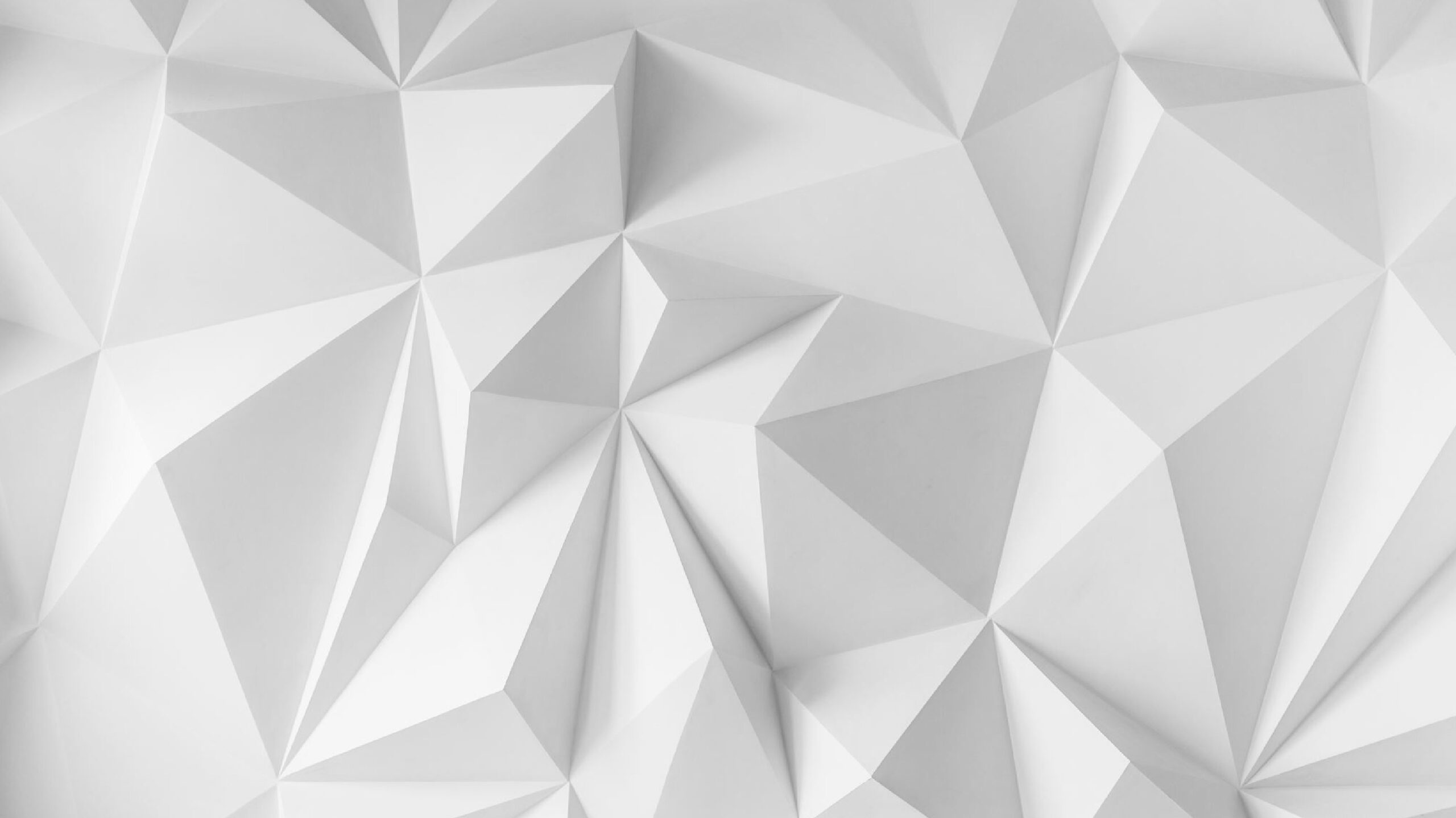 Project Zen – The Beginning