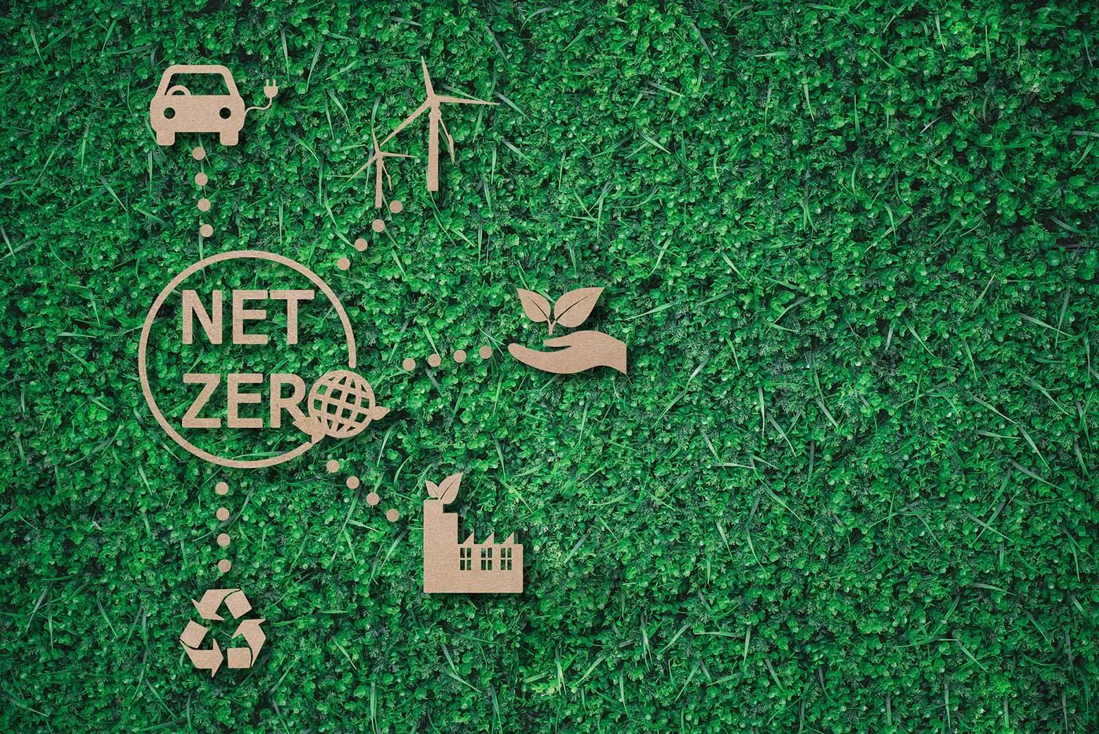 Championing Net Zero